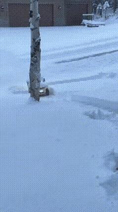 这个太厉害了，我看了三次，才看出来的。