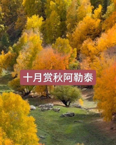 创作者赏金计划最美的风景在路上我拍到的治愈系风景中国绝美自驾游线路推荐风景名胜区