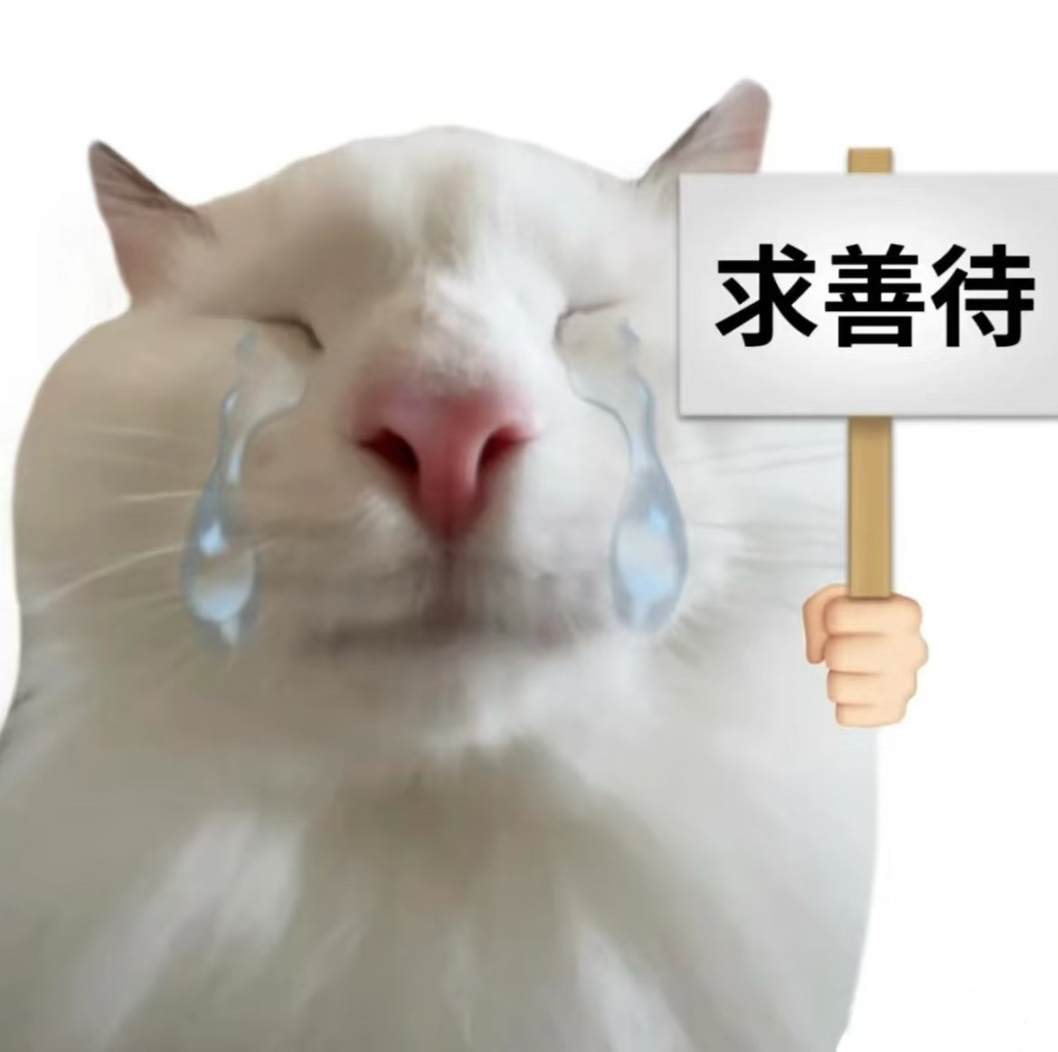 好没礼貌…天自顾自就亮了新年起床