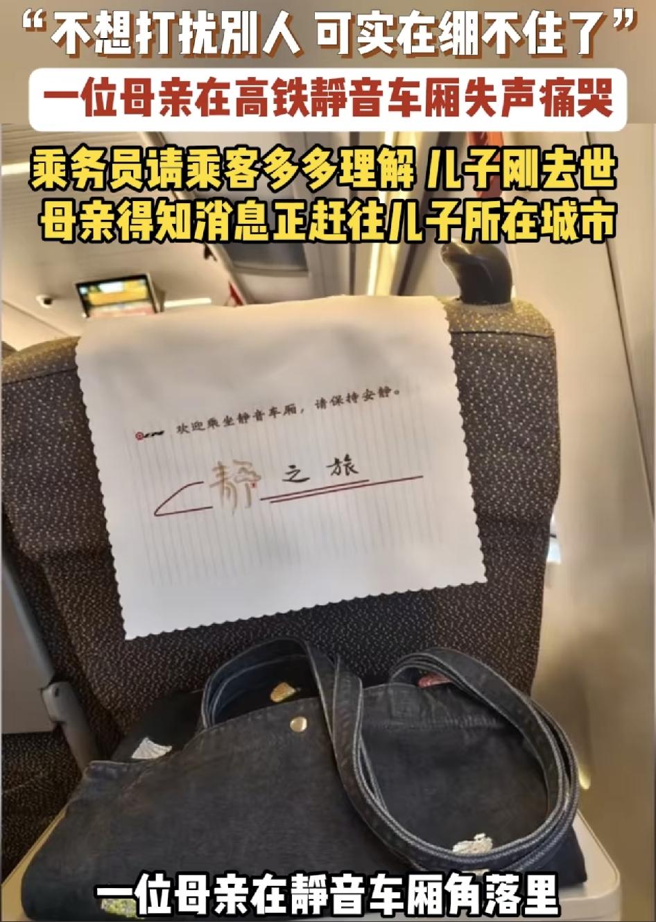 江西一高铁上一位母亲在静音的车厢里失声痛哭，而此时乘务员却对其他的乘客说，请大家