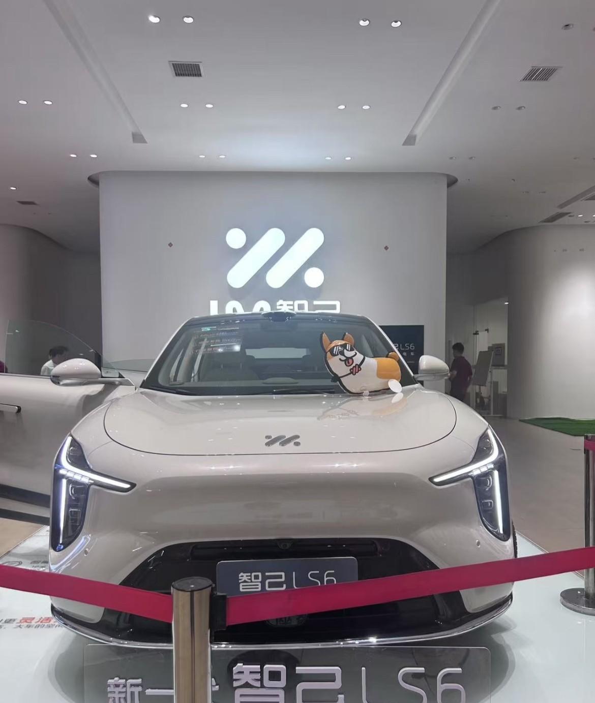 听我一句劝，2025买车不纠结要面子一一买特斯拉要舒适一一买理想要科技一一