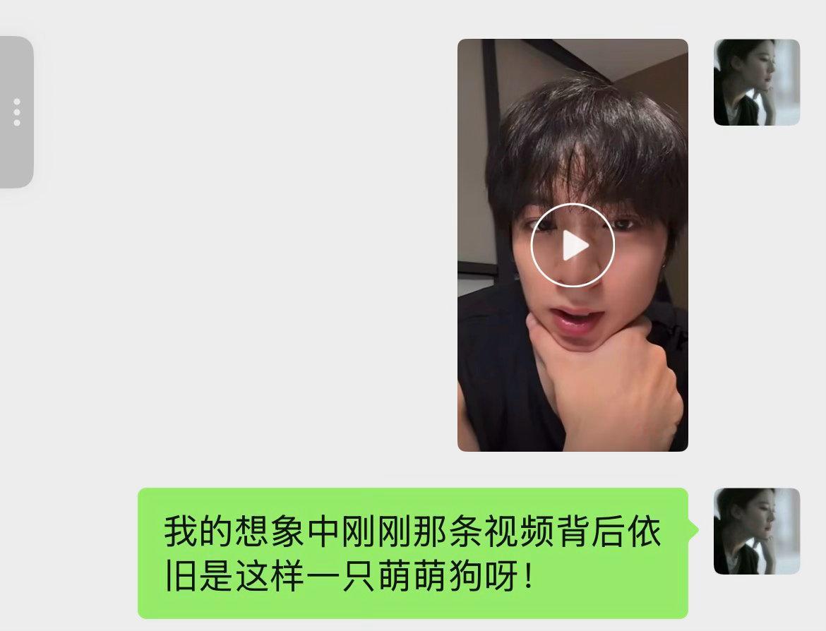 狗儿萌呀！