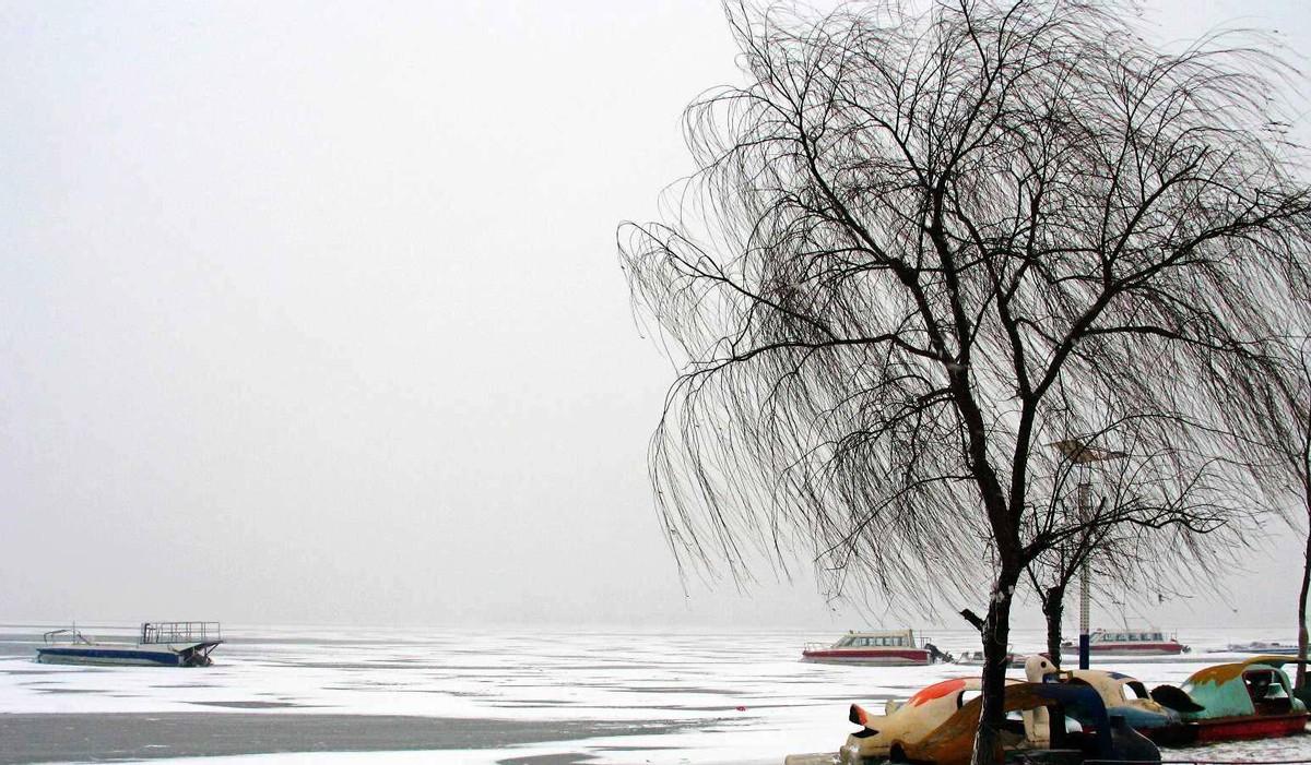 国家气候中心刚发话，今年立冬落在农历九月十八，算“早立冬”，冬天大概率整体偏暖，