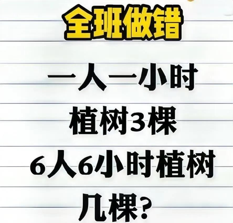 正确答案是多少棵树