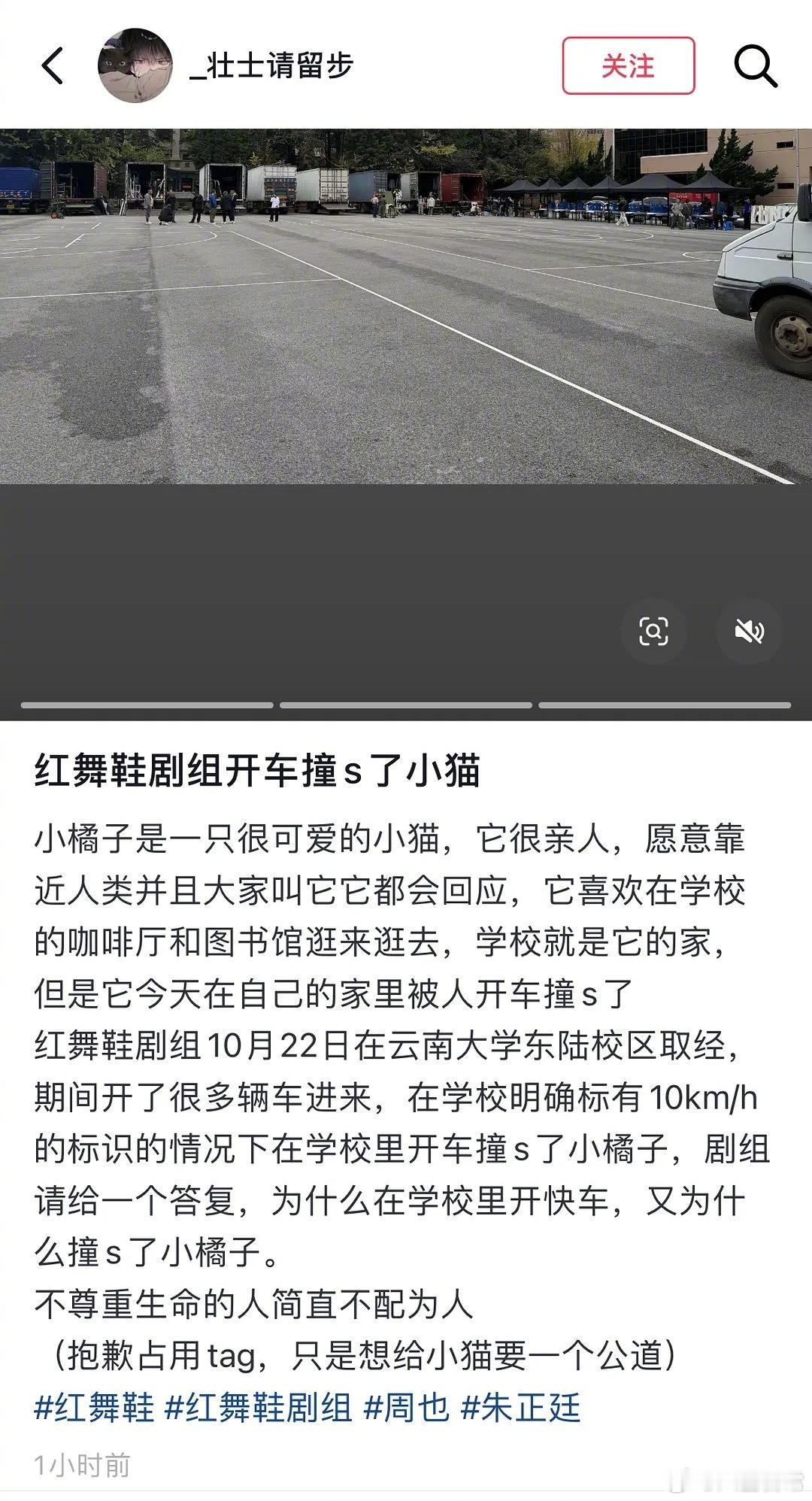 《红舞鞋》剧组会回应吧？现在官抖评论区都在问​​​