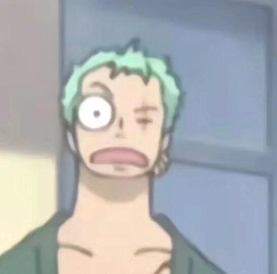 海贼王海贼王王的左右眼