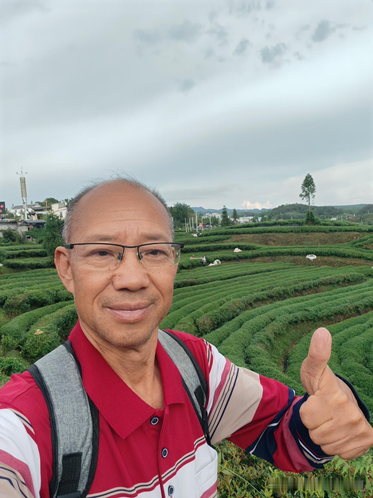 打卡水城龙场万亩茶场趁着贵州清凉的气候，我开着房车来到六盘水水城龙场万