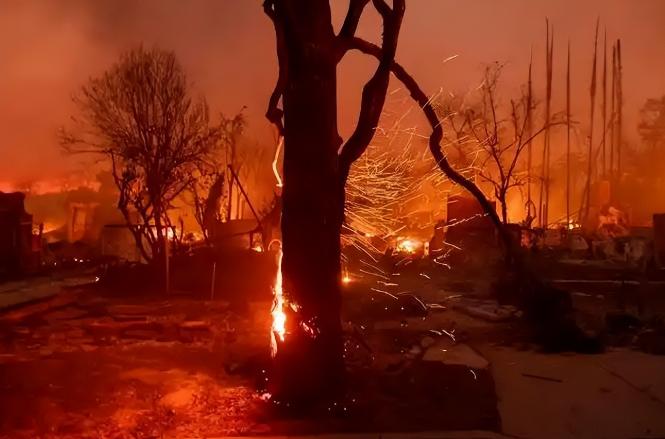 日本和美国早已禁种，中国为何依然大力种植？背后原因不简单别被“发达国家不种就