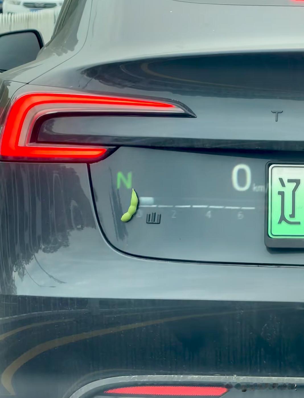 Model3吗？辽宁车主平卷舌不分，毛豆山
