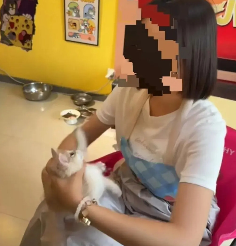 这下虐猫女该哭了。之前还担心因为没有《反虐待动物法》，虐猫女能逃脱法律的制裁