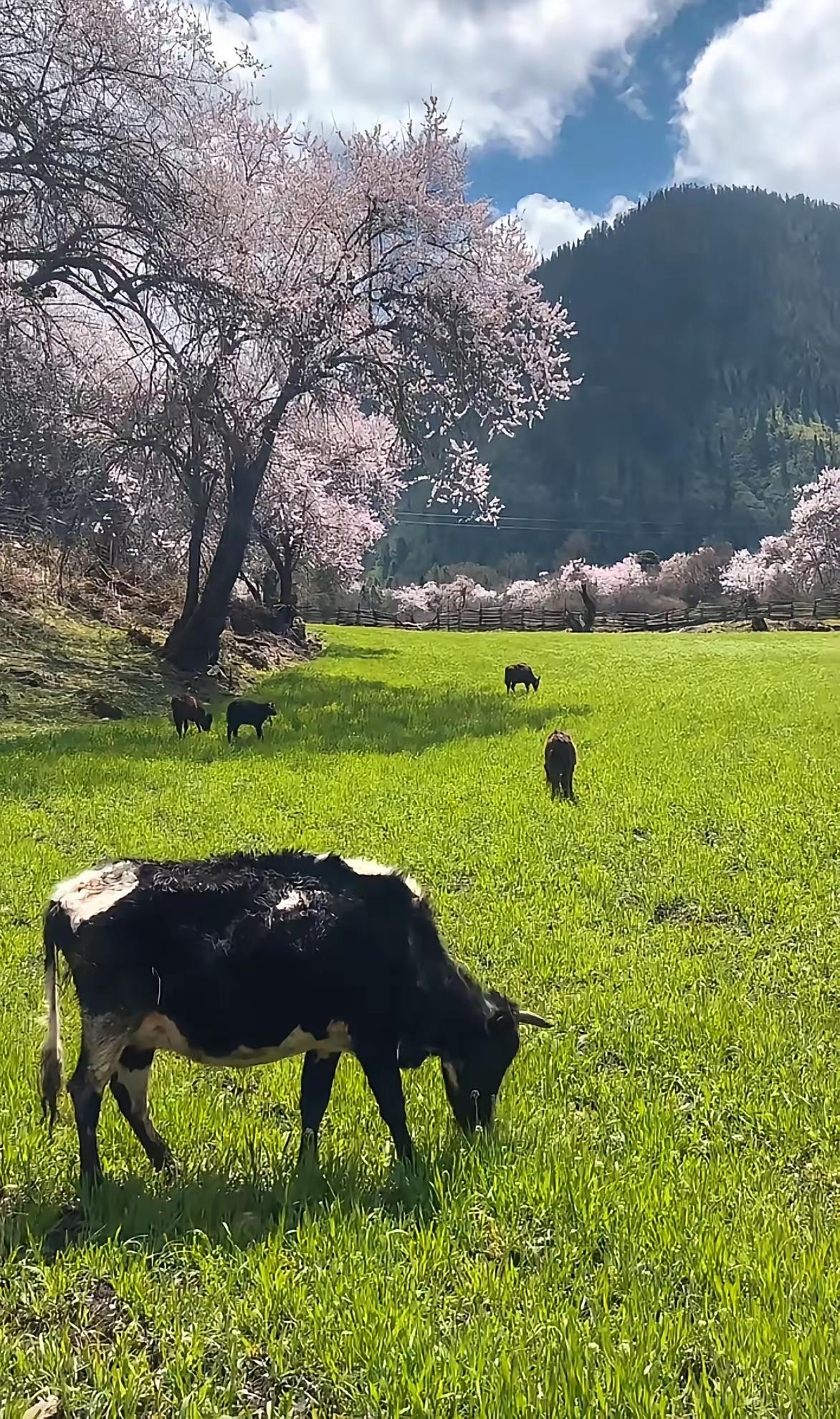 足够努力，才足够幸运世人总羡慕别人的好运，却很少看见他背后默默熬的夜、吃的