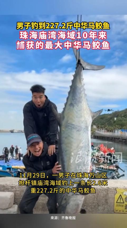 简直赚翻了！11月29日，广东珠海，一男子出海钓鱼时，鱼竿传来从未有过的抖动，就