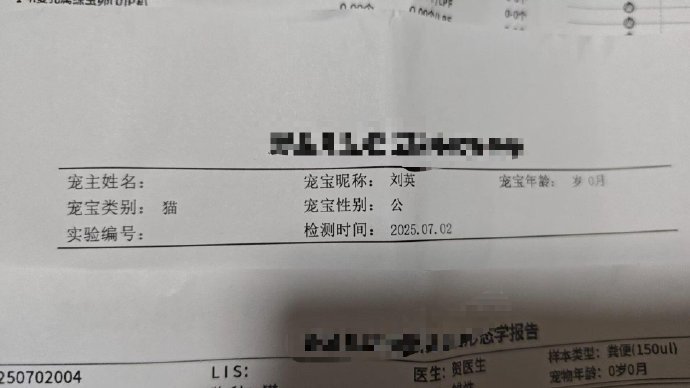 带着馒头（猫猫）去检查，医生问我猫猫的名字，我听成妈妈的名字，医生还说耶，有名有