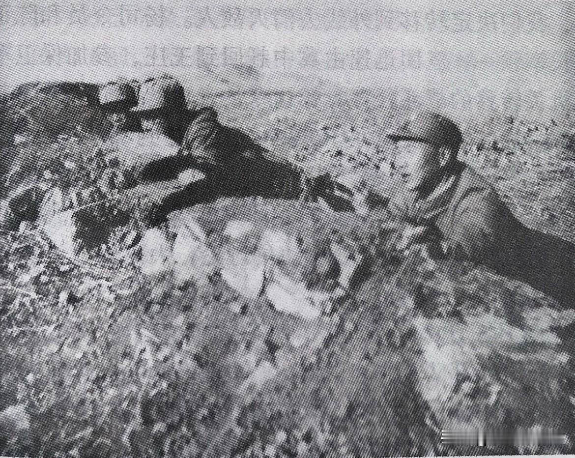 1939年秋，日寇在华北战场集中一〇九师团、山下炮兵团、二十六师团、铃木师团及伪