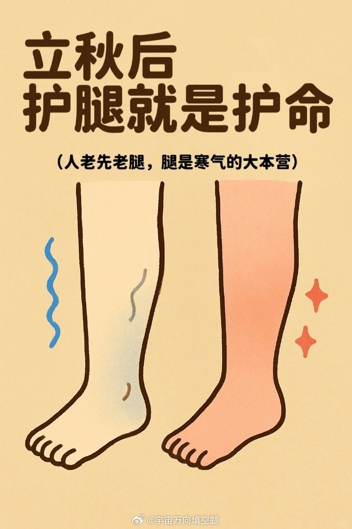 立秋后护腿太重要啦！腿是寒气“大本营”，寒湿淤堵会让腿凉、浮肿，还影响气血循环～