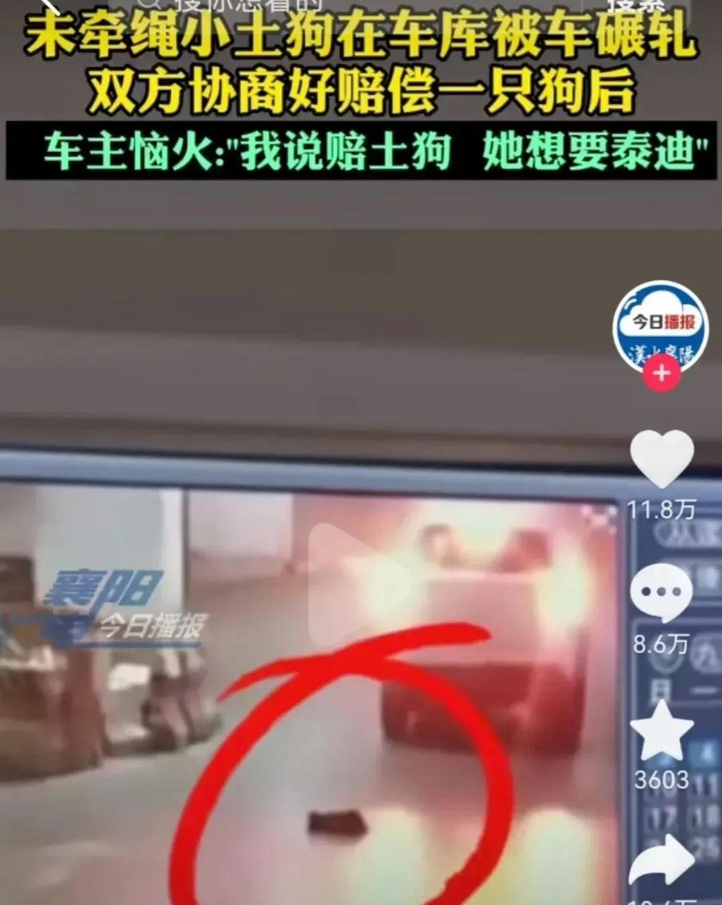 重庆，一女子的狗未牵狗绳，在车库被一名男司机撞死了。双方经过协商，男司机愿意赔偿