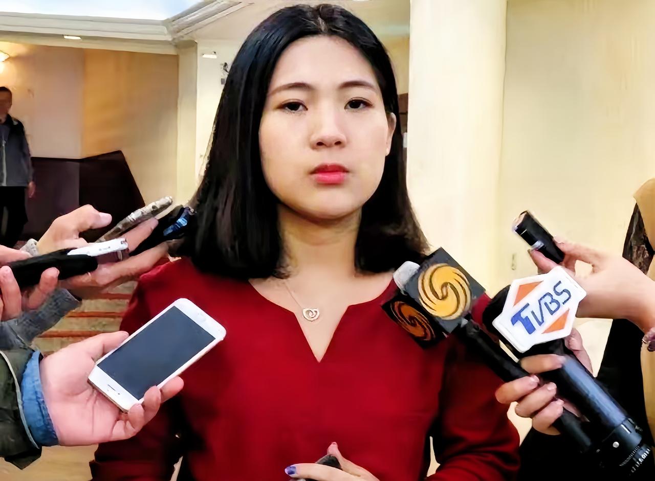 徐巧芯说的挺在理的，吴石并没有叛变，是为了理想和中共合作，是为了大义与中共合作