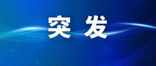 闻泰科技营收147亿的半导体资产被荷兰政府冻结