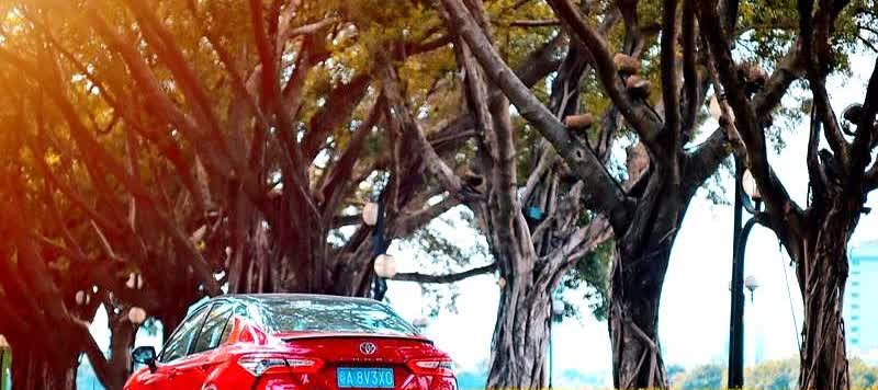 凯美瑞2.0L车型的油耗和养车成本一直备受关注。今天就来实测一下，让你一
