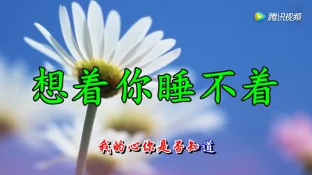 想着你睡不着简谱_想着你睡不着的图片(3)