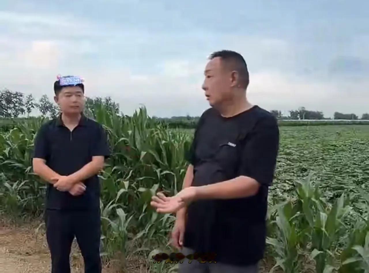 因为啥让他去发言？因为他有发言权。他的双脚站在乡野的泥土里，能真切感受到大