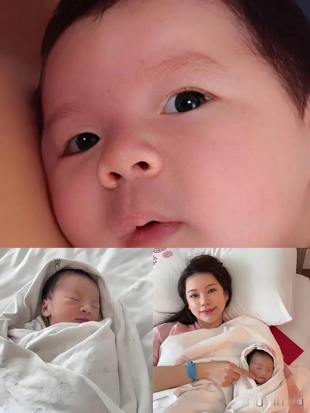 汪小菲这回是真的憋不住笑了，大年初七喜得贵子，这可是传说中的“人日”啊，老天爷都