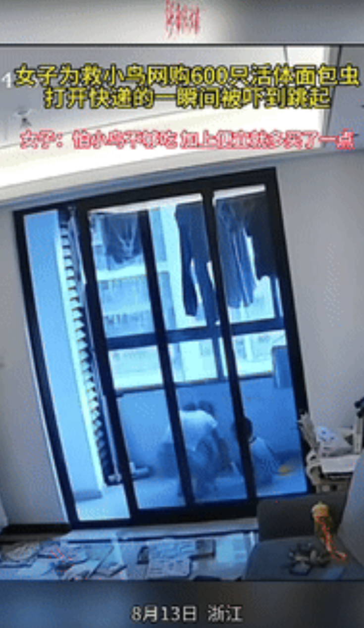 “笑不活了！”浙江，女子路边发现一只奄奄一息的小鸟，她以为小鸟是饿了，于是将小鸟