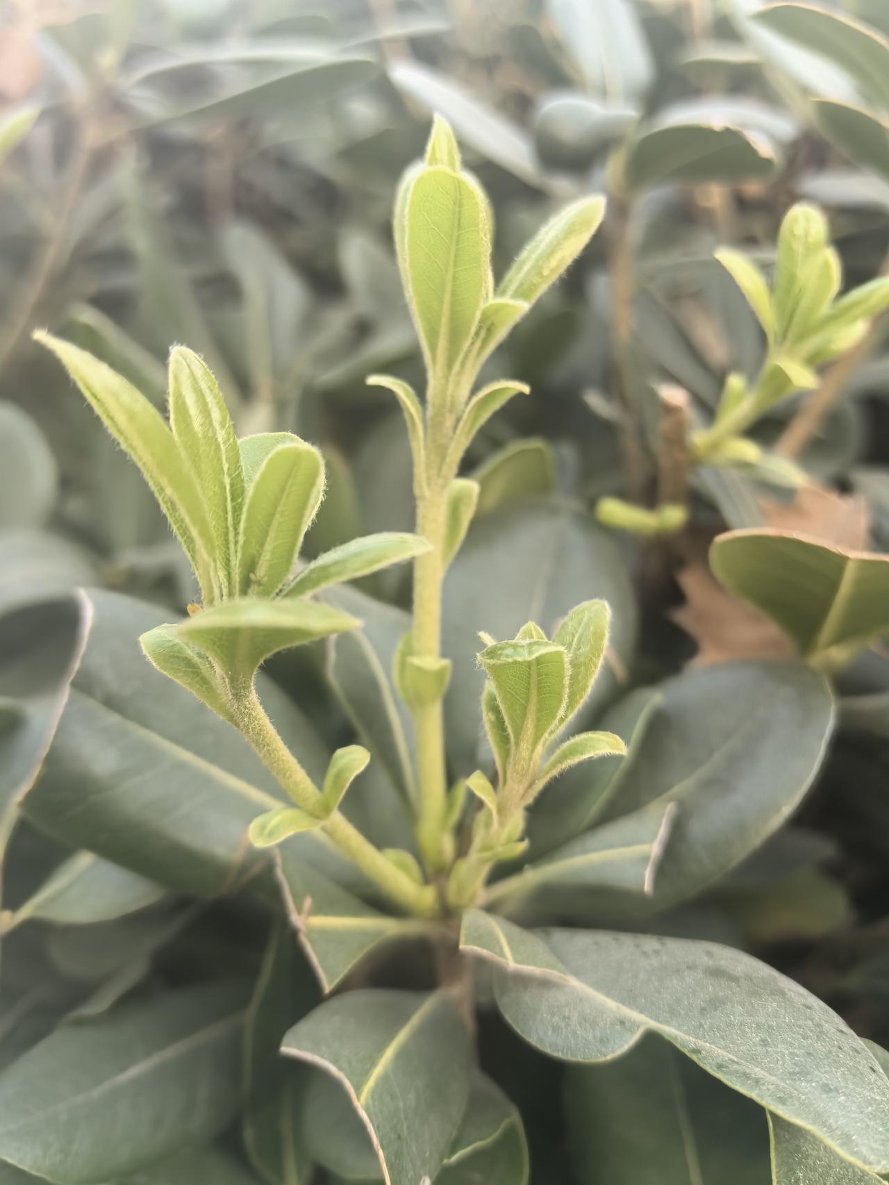 《人民日报》中这句“如果你不花时间，去创造你想要的生活，你将被迫花很多时间，去应