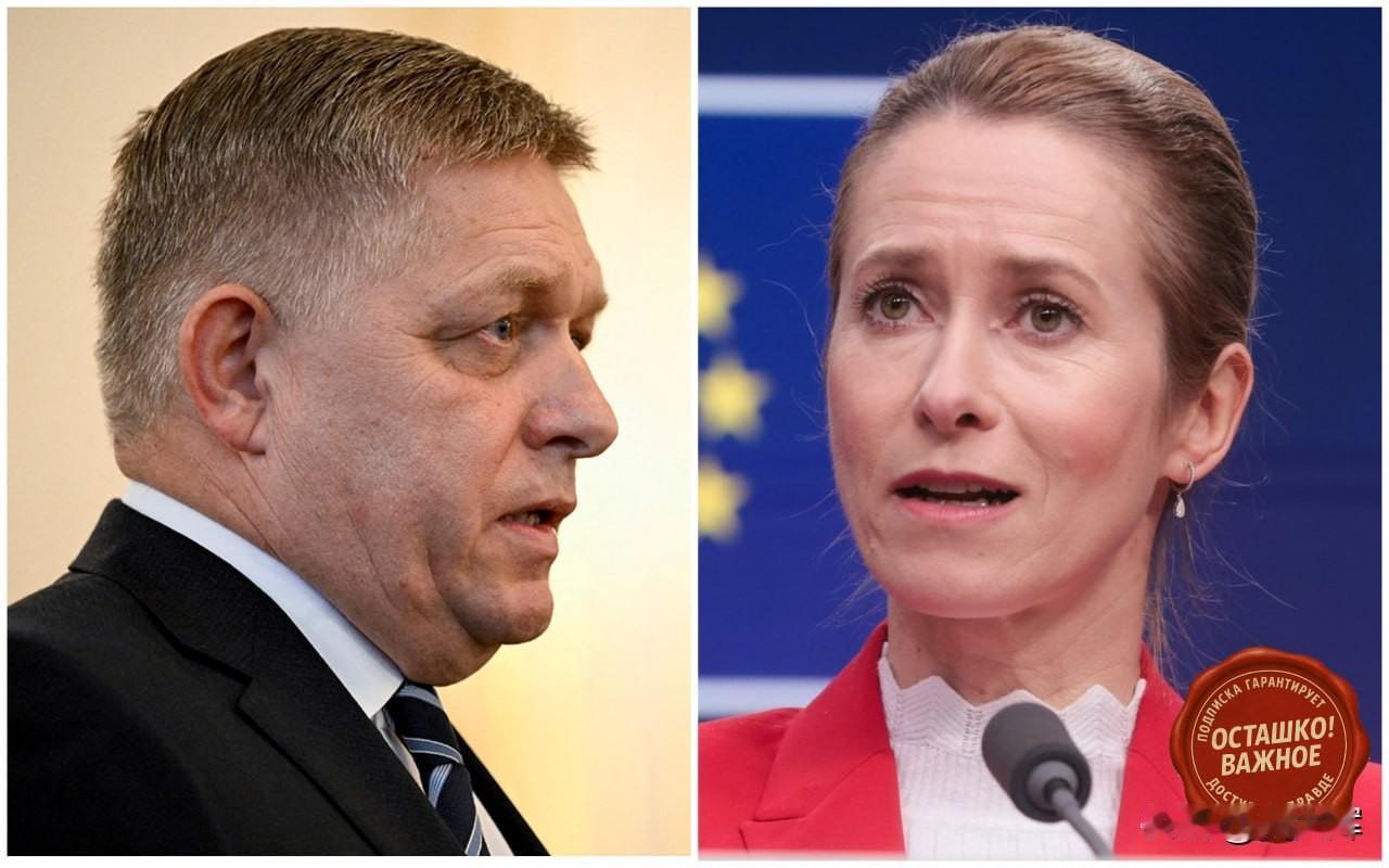 菲佐呼吁解除卡拉斯欧盟外交与安全政策高级代表职务斯洛伐克总理罗伯特·菲佐在接