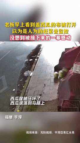 这下好了！不仅老板知道了，全网的人都知道了！福建平潭，西瓜店老板起床，发现盖西瓜
