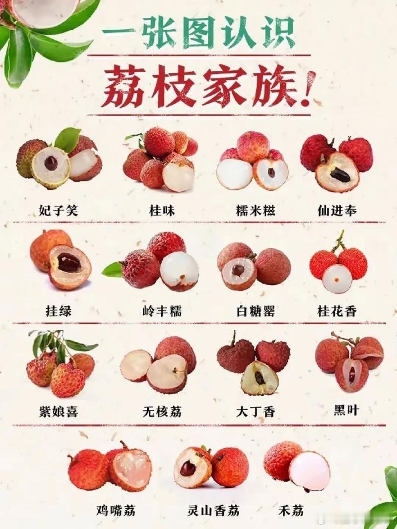 冷冻荔枝吃起来还不错，跟雪糕差不多，不过更好吃，就是皮不太好剥！[捂脸哭]​​​