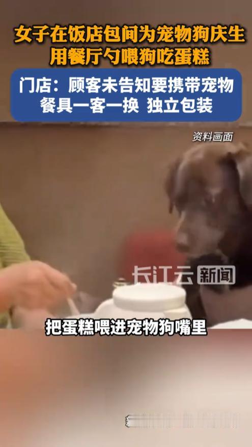 近日，天津线下一家饭店的私人包间内，一名女子特意为自家宠物狗举办生日庆祝活动，专