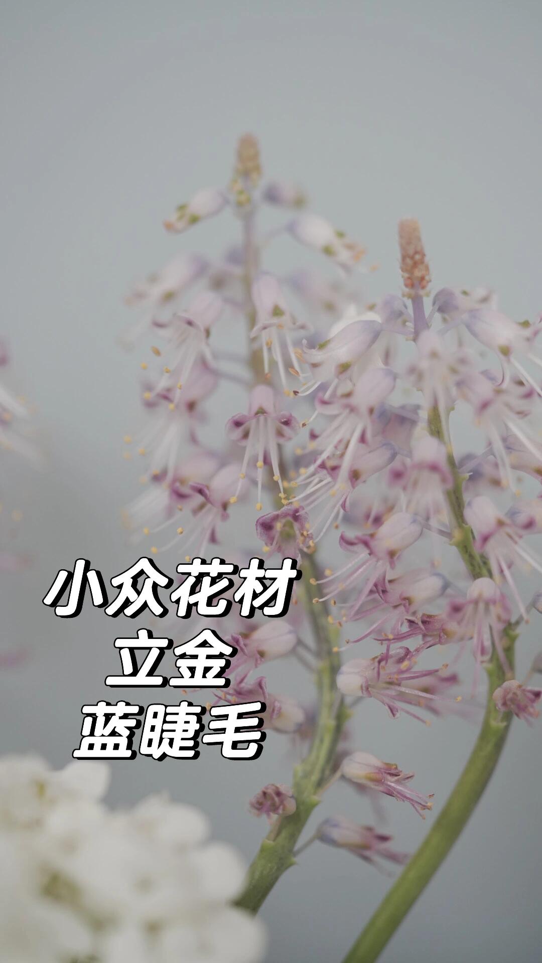 长得像天仙的花🌸🌸🌸