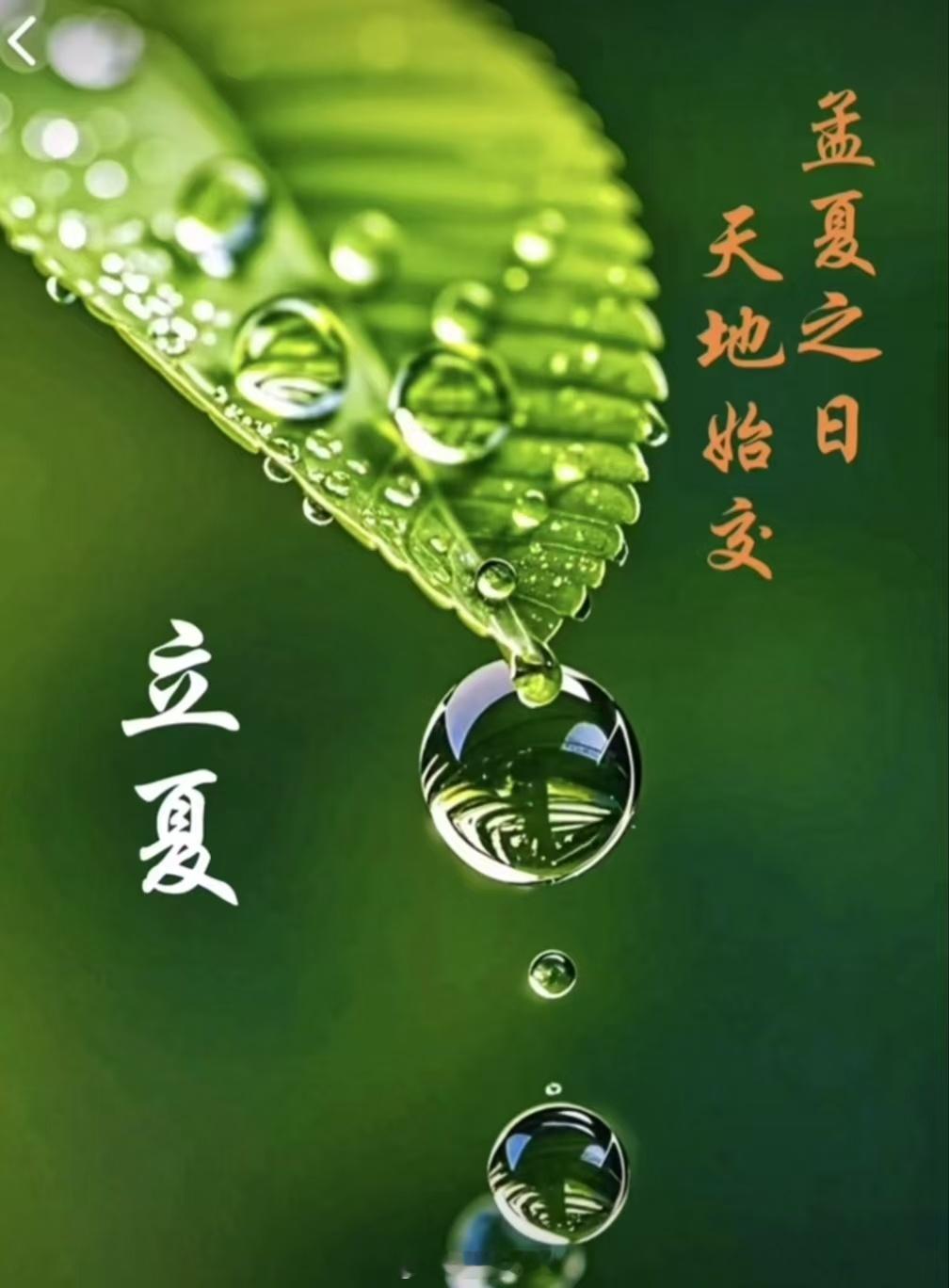 节气的硬核养生“斗指东南，维为立夏，万物至此皆长大，故名立夏也。”立夏是二十四节