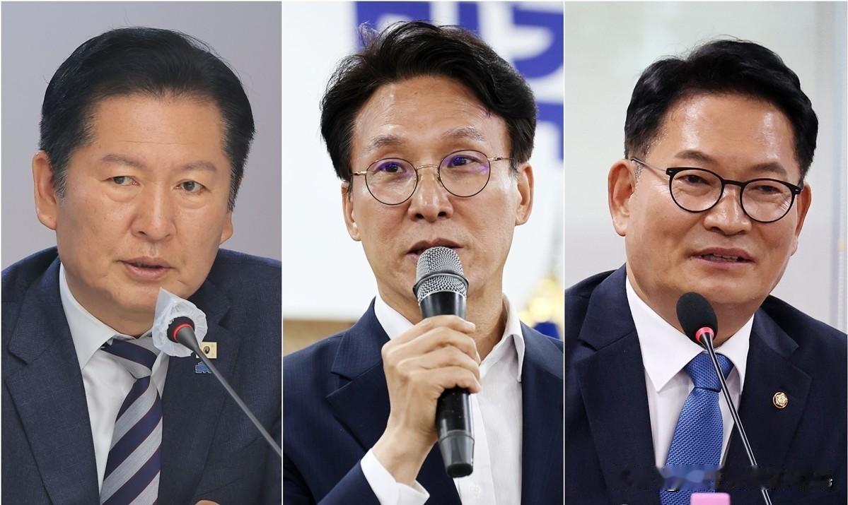 舆论风波蔓延！柳时敏抛出“必败论”，韩共同民主党内部派系态度分裂日前韩国评论