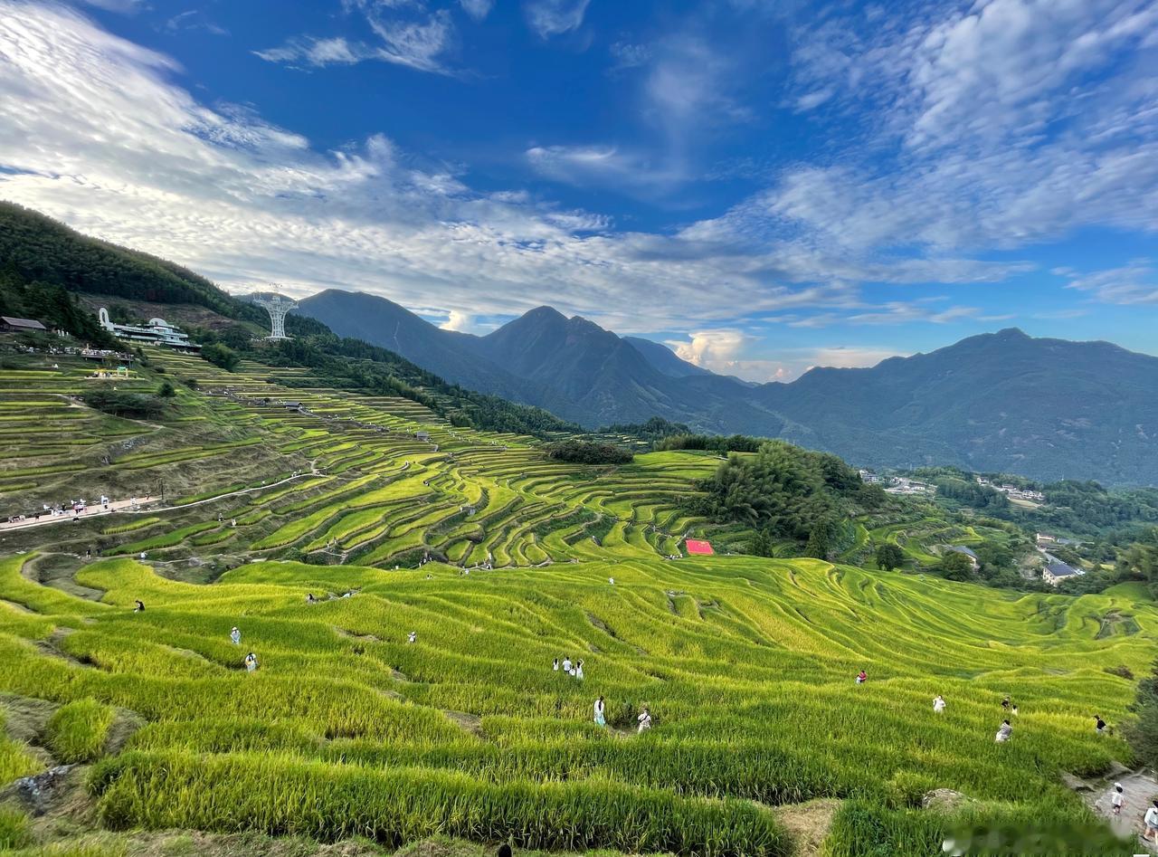 自驾游第三天已开启休养模式☀️临近中午才起，民宿老板超可爱：“早上…不，中午