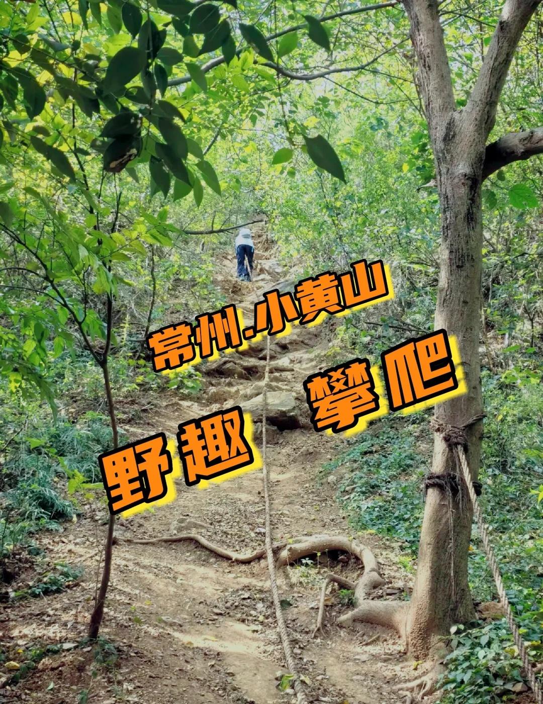 常州小黄山·野趣攀爬手记（最新）🌿今天和队友去小黄山拉练了，秋末的小黄山