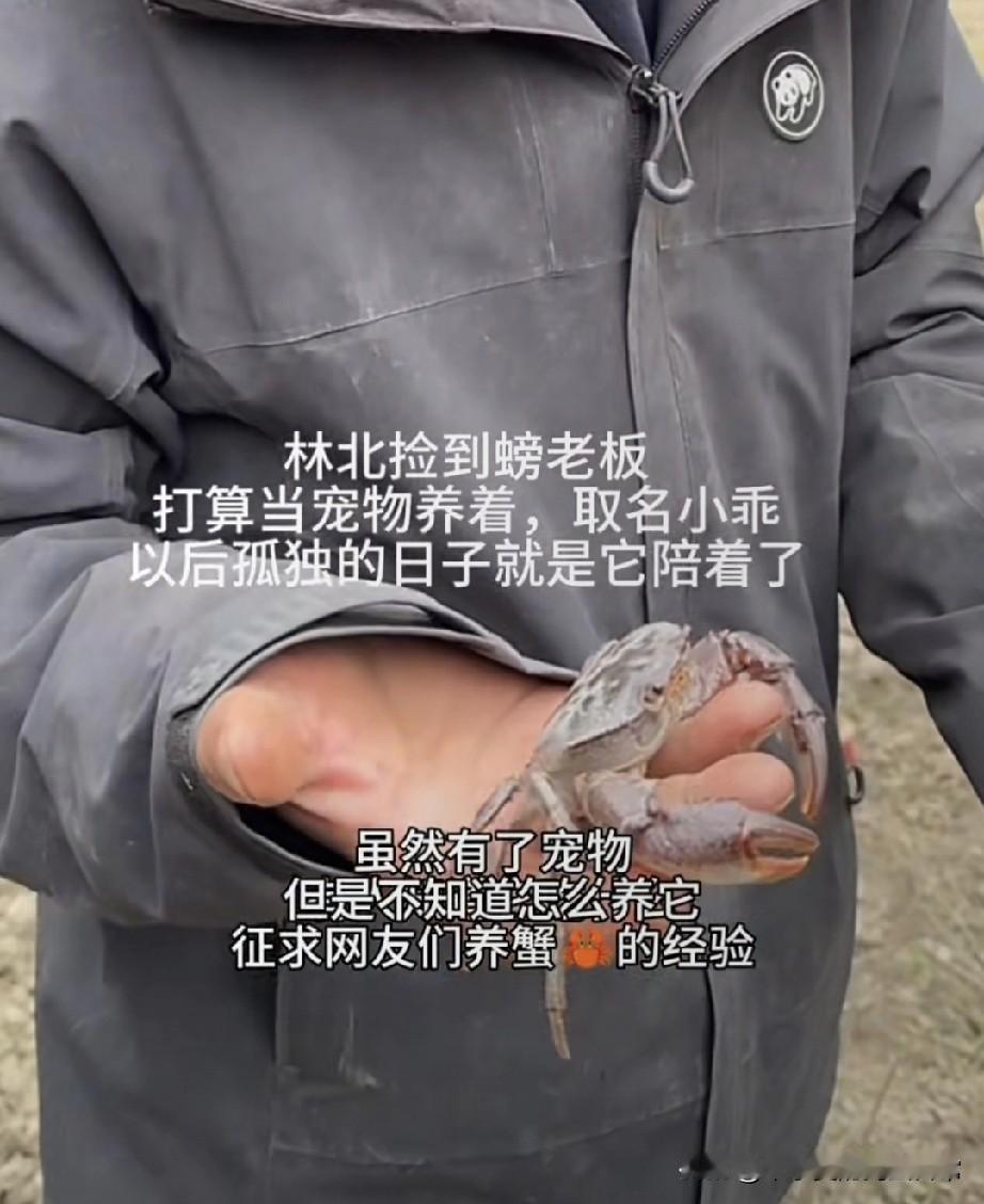 林北荒野求生都养上宠物了谁懂啊！荒野求生决赛熬到第十天，别人都在抢野果摸鱼