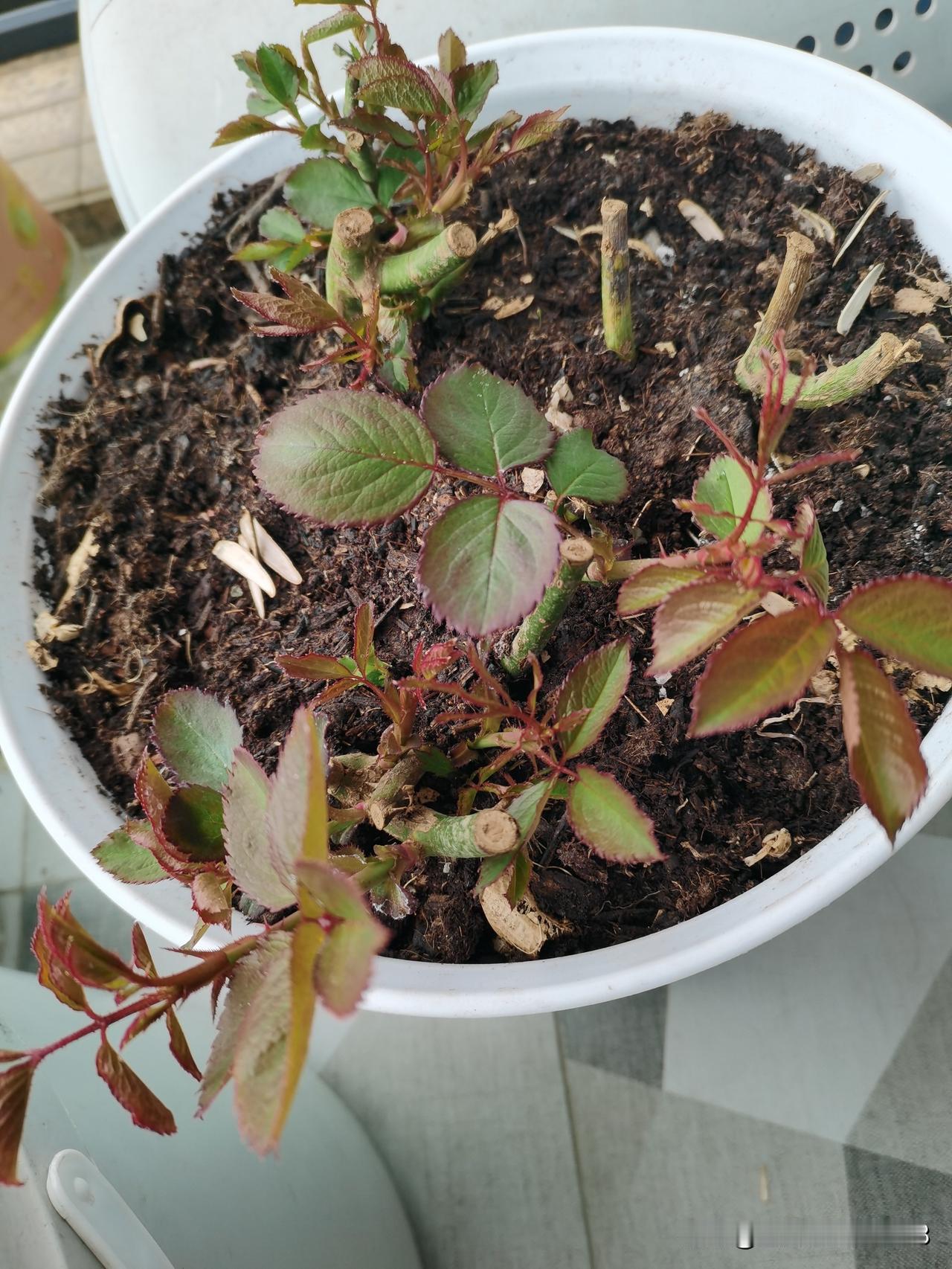 堂姐常说，钱是王八蛋，花完花完再赚，两人每人每月都有6千元元，夫妻俩打了几十年工