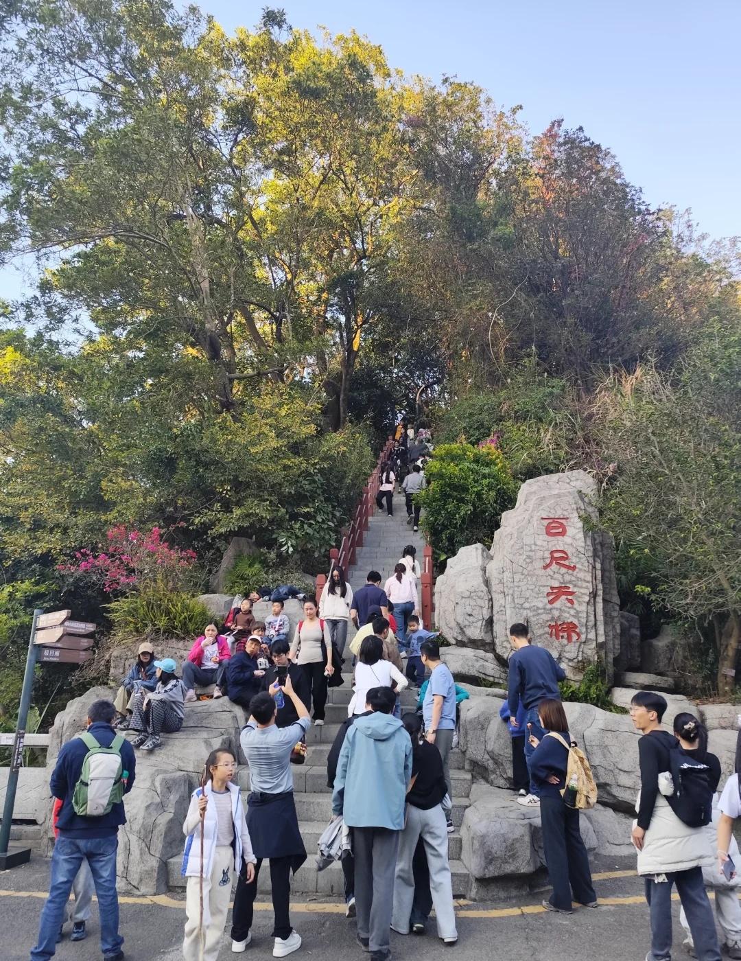 找周三周四下午深圳塘朗山爬山组队搭子路线：塘朗山登顶打卡，全程5公里新手路线