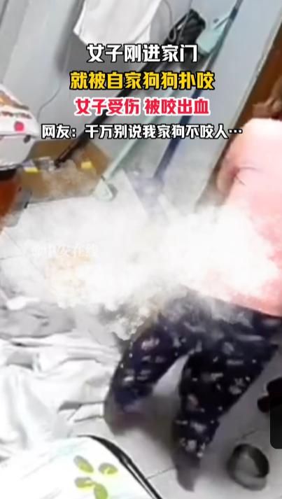 “防不胜防！”9月23日，江苏，一女子刚进家门，就被自己心爱的宠物狗扑上来咬伤，