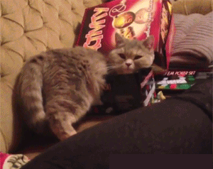 你以为你能把自己塞进去？你俩不匹配好么。。