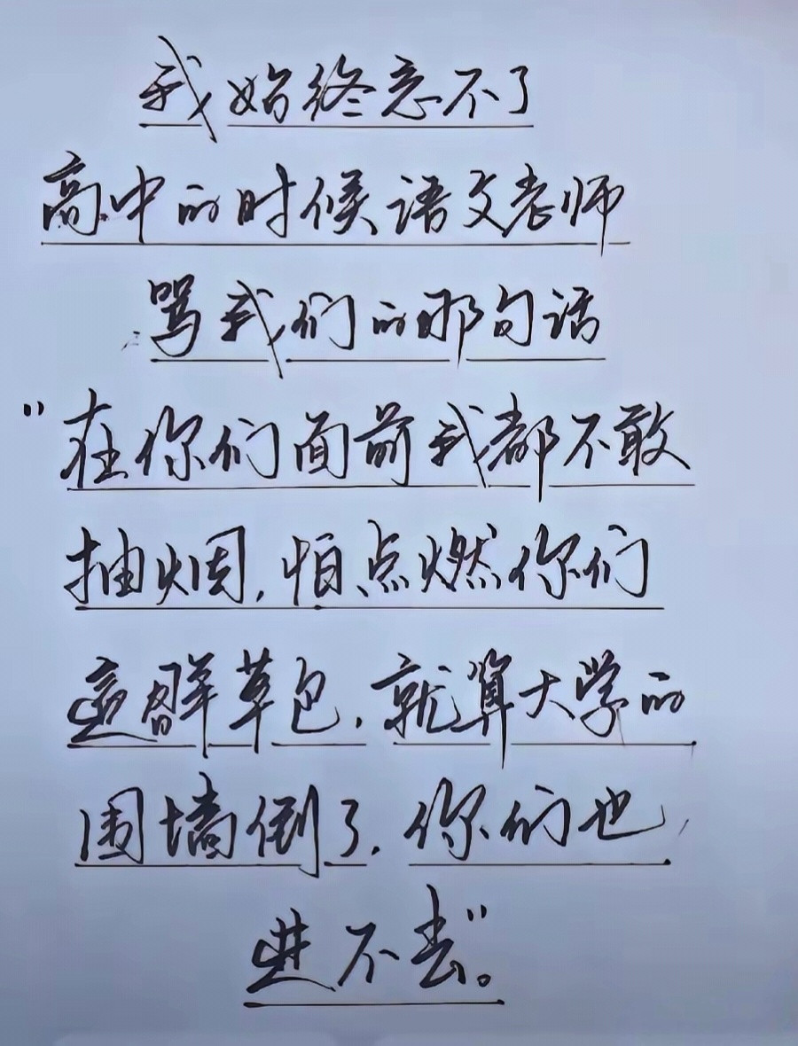不愧是语文老师，骂人都骂的这么有水平[赞]​​​