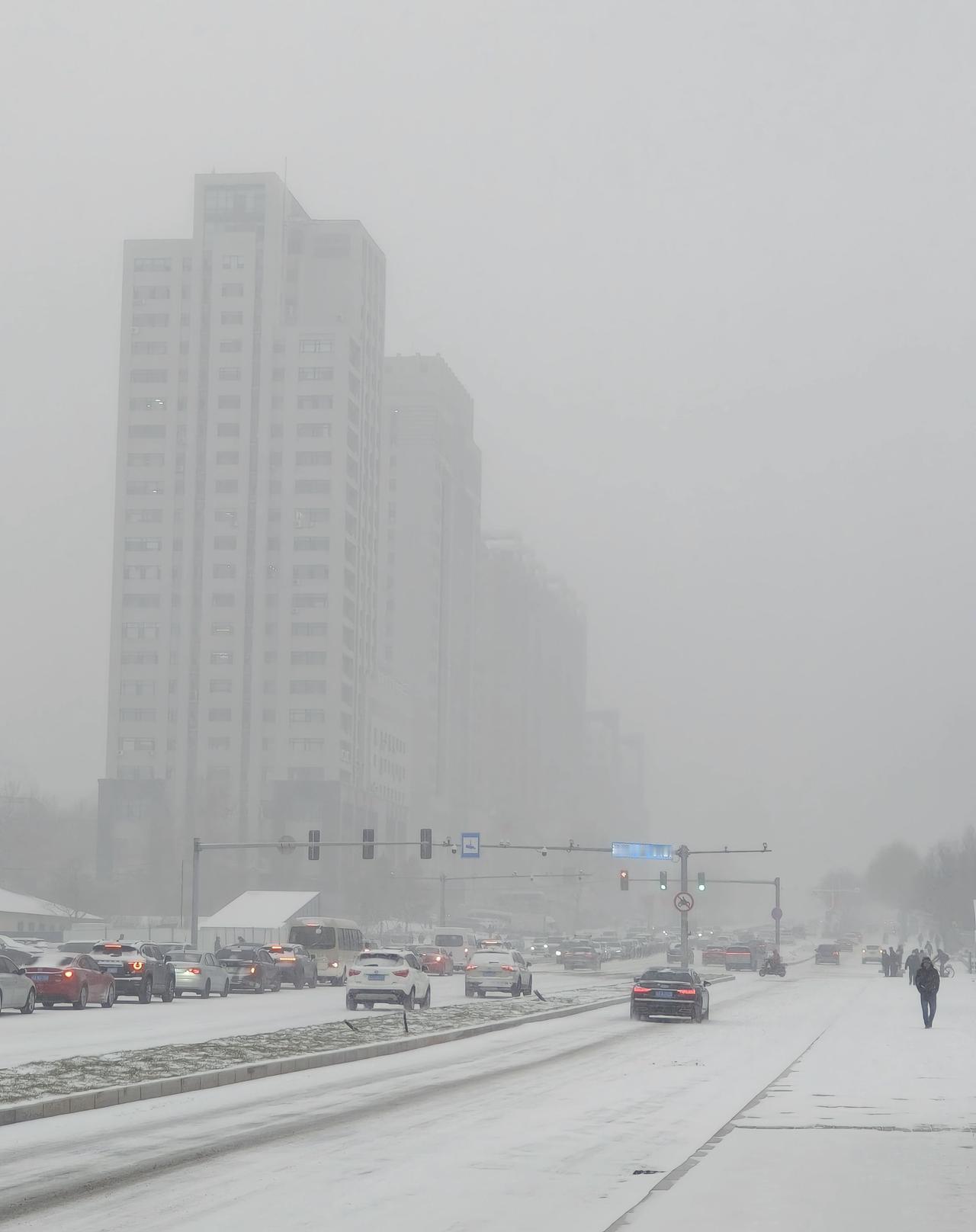长春终于下雪了，都快年底了，再不下，真有点“说不过去”了[捂脸哭]