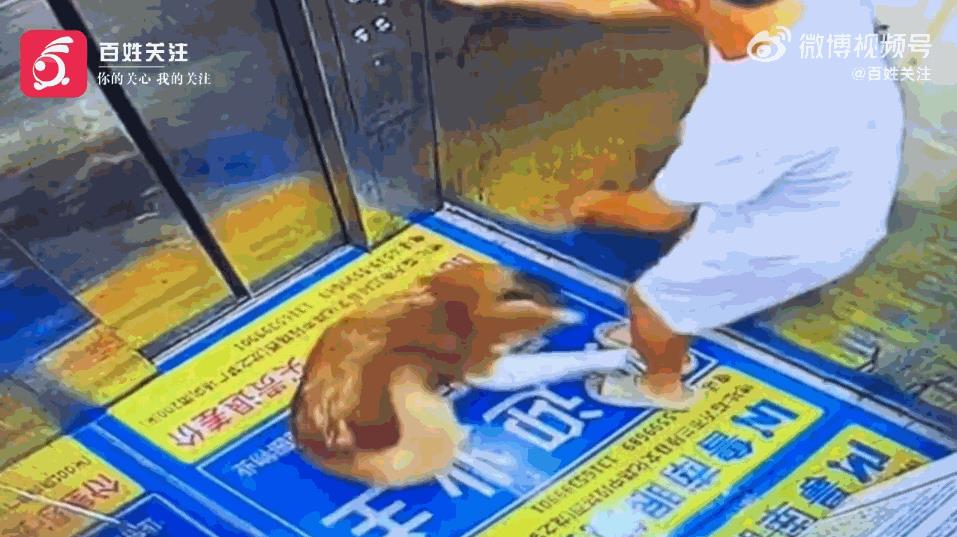 “必须严惩！”8月3日，山东临沂，男子乘坐电梯时，一条未栓绳的大狗快速冲进电梯，