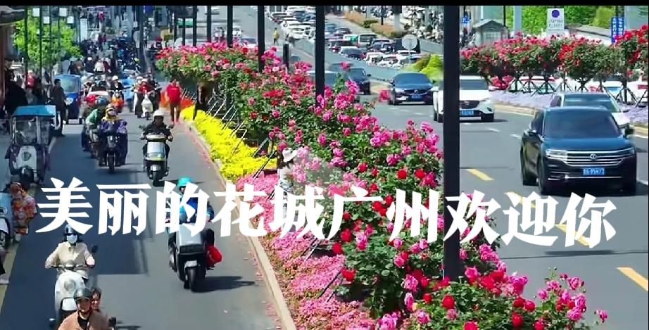 广东上了一定年纪的，应该是对我们广东省的老省长黄华华一定不陌生，而这位来自素有“