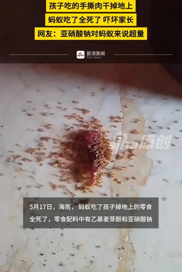 “太可怕了！”5月17日，海南一孩子在家吃零食，随手掉落的一小块，家长随后发现，