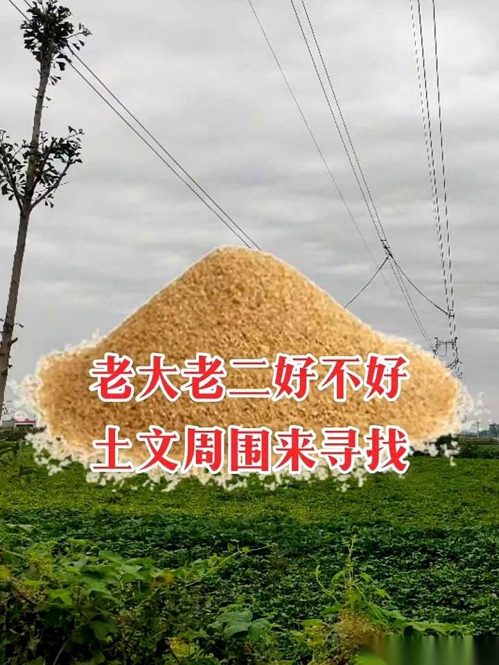 老祖宗传下来的那套东西，你说它是迷信吧，它又邪门得让你后背发凉。真的。就说这