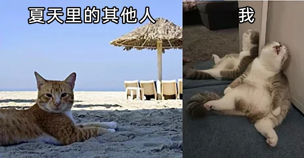 夏天不想离开空调房半步💨​​​