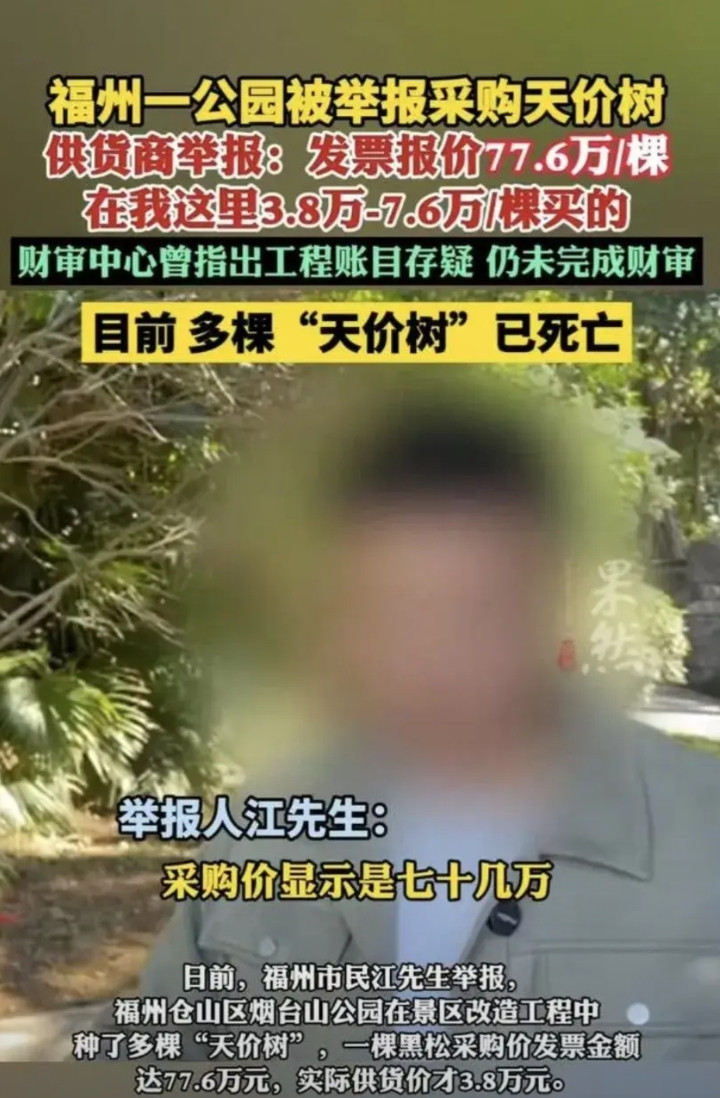 又是一起让人大跌眼镜的事情，一棵本来就几万的树，采购发票价居然高达77万之多，其